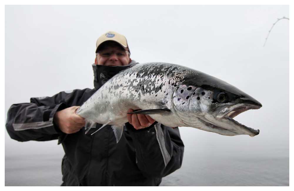 Rügen 2011_Lachs03