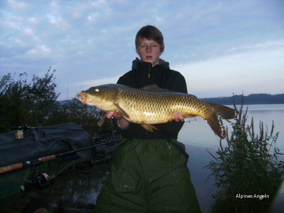 Wörthsee Karpfen