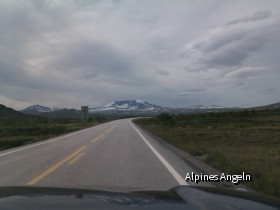 Dovrefjell5